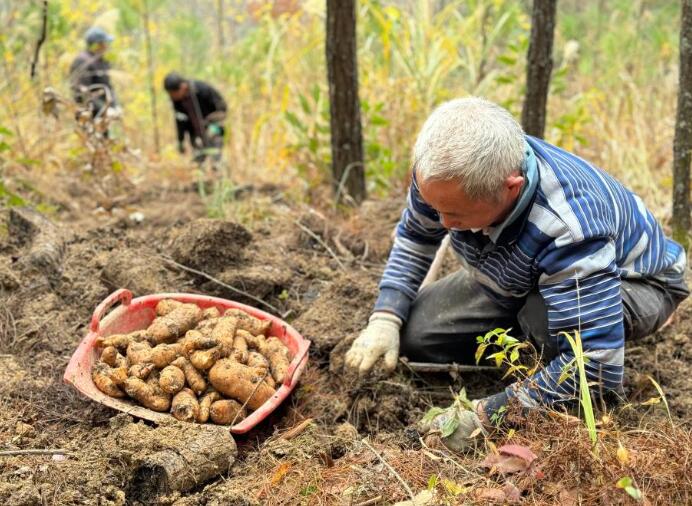 ؑcǿڣˎĮa(chn)I(y)r(nng)